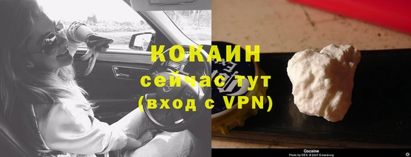 ПСИЛОЦИБИНОВЫЕ ГРИБЫ Липки
