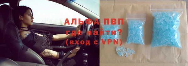 ПСИЛОЦИБИНОВЫЕ ГРИБЫ Липки