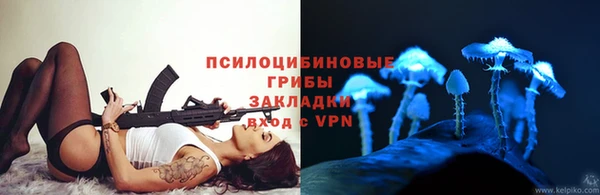 mdpv Лабытнанги