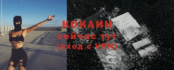 дмт Лиски