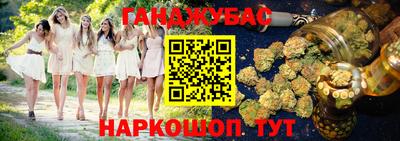 ECSTASY Новозыбков