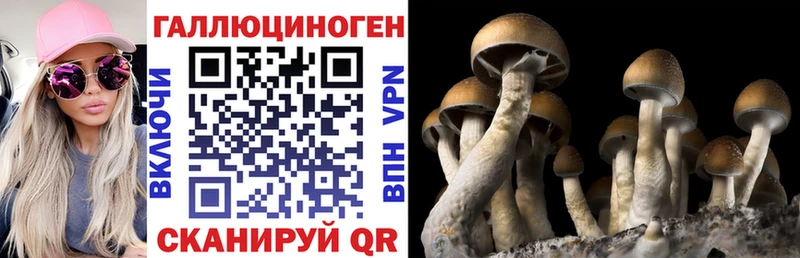 купить наркотики сайты  Якутск  Псилоцибиновые грибы MAGIC MUSHROOMS 